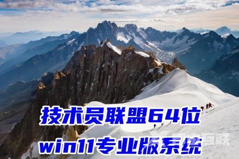 技术员联盟64位win11专业版系统