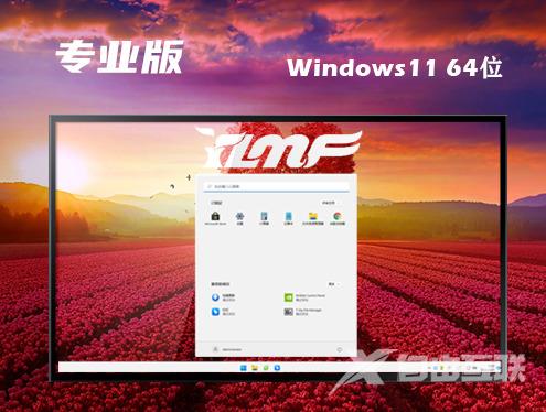 windows11专业版下载官网 windows11专业中文正版下载