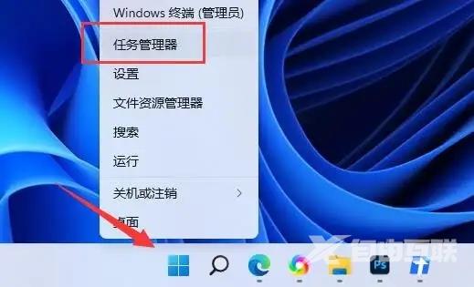 win11开机启动项在哪里设置 win11自启动管理在哪里调整