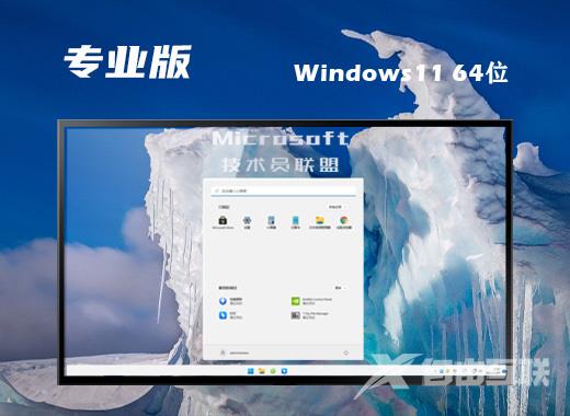 技术员联盟win11系统最新专业版下载 windows11稳定永久免激活系统镜像文件下载