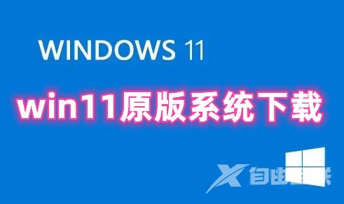 win11原版系统下载 win11官网最新正版下载