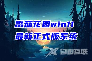 番茄花园win11最新正式版系统