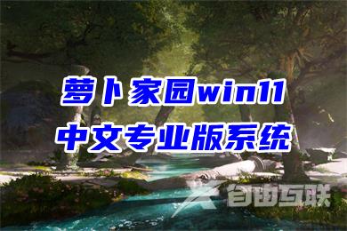 萝卜家园win11中文专业版系统