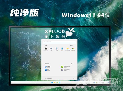 win11原版系统下载 win11官网最新正版下载