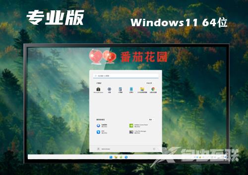 win11专业版下载官网 win11专业正式原版系统下载