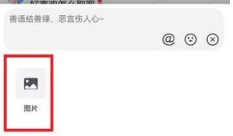 抖音评论怎么发图片 抖音评论怎么发相册里的照片
