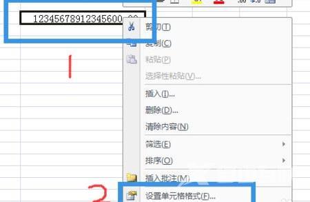 Excel数字显示e+怎么回事？Excel数字显示e+解决方法