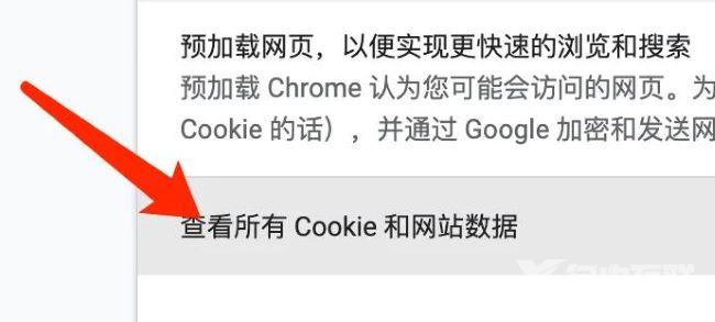 谷歌浏览器如何查看Cookie？谷歌浏览器Cookie数据查看方法