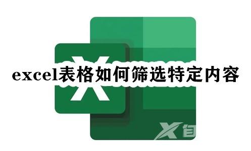 Excel表格如何筛选特定内容？Excel表格筛选特定内容教程