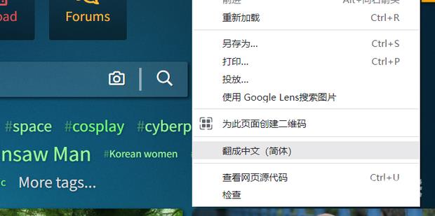 谷歌浏览器翻译功能启动失败怎么回事？谷歌翻译服务无法使用