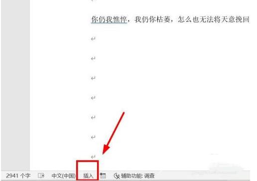 WPS文档编辑时吞字怎么办？WPS编辑文档出现吞字解决方法