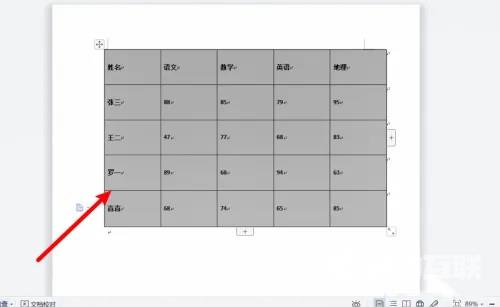 word表格字体怎么上下居中？word表格字体设置上下居中的方法