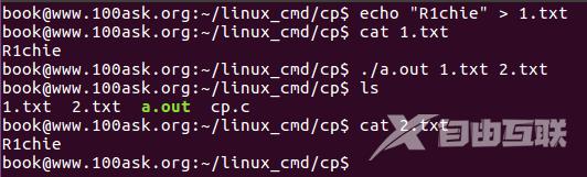 Linux---cp命令学习