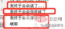 一篇文章带你了解Go语言基础之函数（上篇）