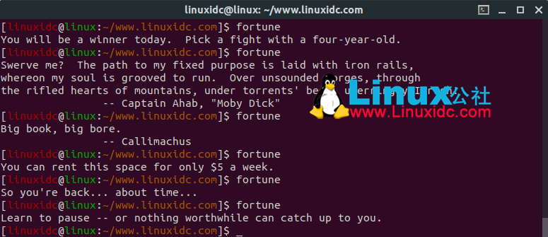 Linux幸运甜饼