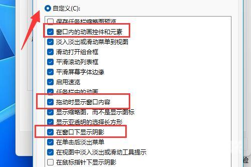 Win11窗口动画效果怎么设置？Win11设置窗口动画效果教程