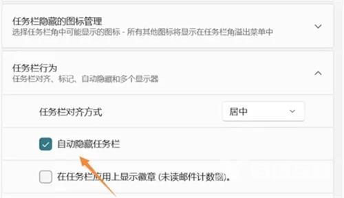 Win11怎么隐藏下面的任务栏？Win11怎么隐藏任务栏图标？