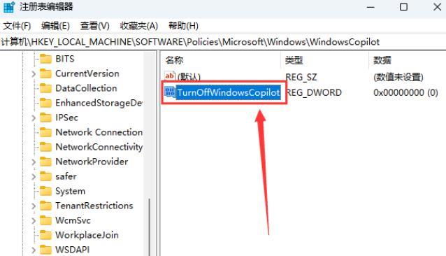 win11怎么彻底关闭Windows Copilot？win11完全关闭Windows Copilot方法介绍