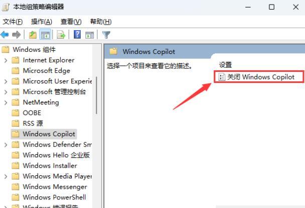 Win11如何彻底关闭Windows Copilot？关闭Windows Copilot的方法