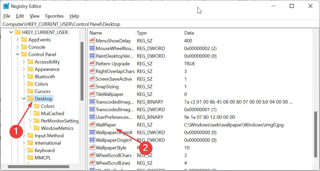 主题背景位于 Windows 11 中的什么位置？