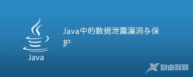 Java中的数据泄露漏洞与保护