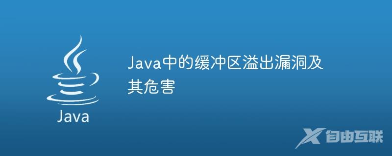 Java中的缓冲区溢出漏洞及其危害