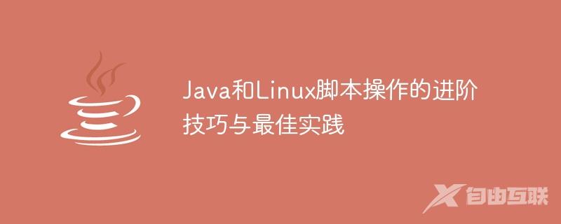 Java和Linux脚本操作的进阶技巧与最佳实践