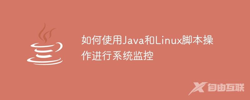 如何使用Java和Linux脚本操作进行系统监控