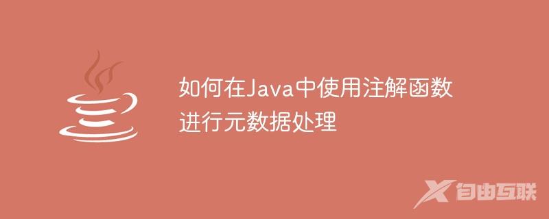 如何在Java中使用注解函数进行元数据处理