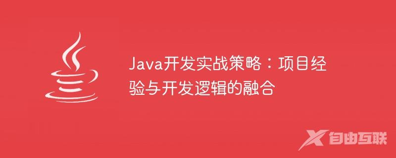 Java开发实战策略：项目经验与开发逻辑的融合