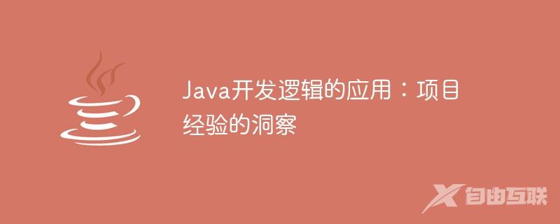 Java开发逻辑的应用：项目经验的洞察