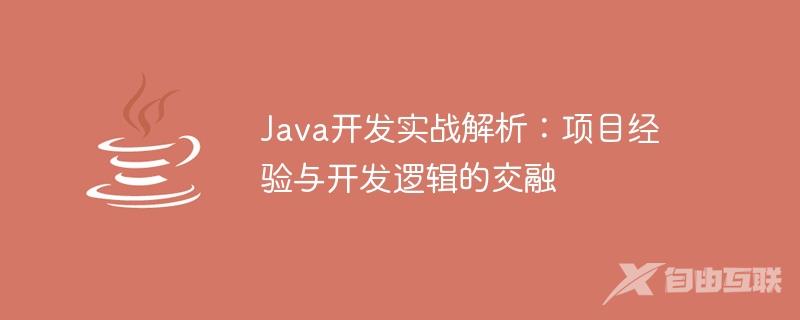 Java开发实战解析：项目经验与开发逻辑的交融