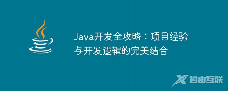 Java开发全攻略：项目经验与开发逻辑的完美结合