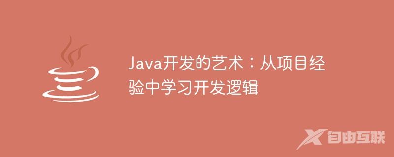 Java开发的艺术：从项目经验中学习开发逻辑
