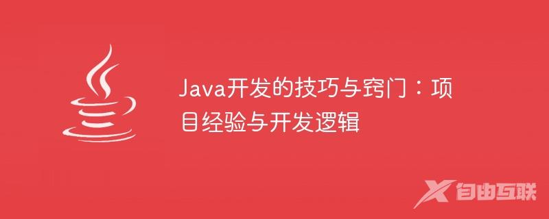 Java开发的技巧与窍门：项目经验与开发逻辑