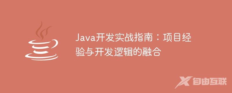 Java开发实战指南：项目经验与开发逻辑的融合