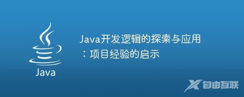 Java开发逻辑的探索与应用：项目经验的启示