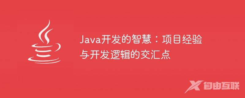 Java开发的智慧：项目经验与开发逻辑的交汇点