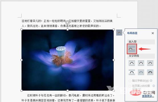 实用Word技巧分享：文档图片太多显示太慢，怎么解决？