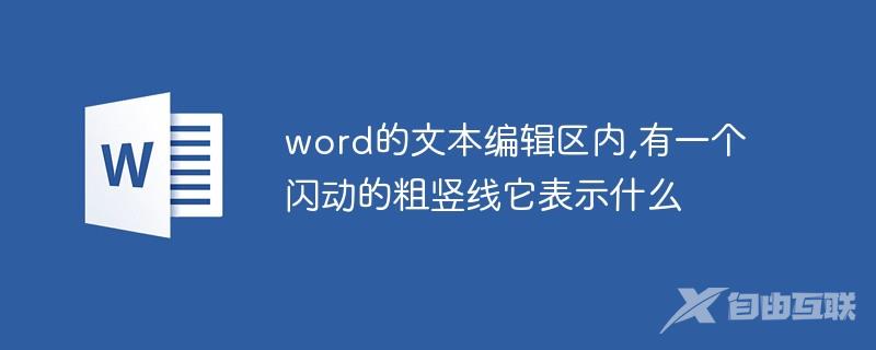 word的文本编辑区内,有一个闪动的粗竖线它表示什么