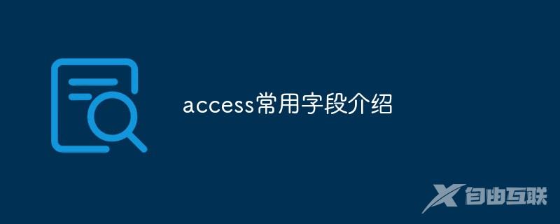 access常用字段介绍