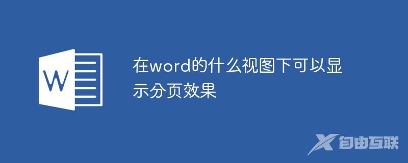 在word的什么视图下可以显示分页效果