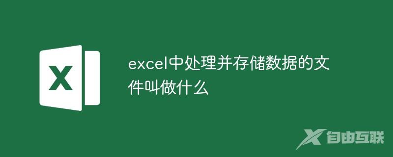 excel中处理并存储数据的文件叫做什么