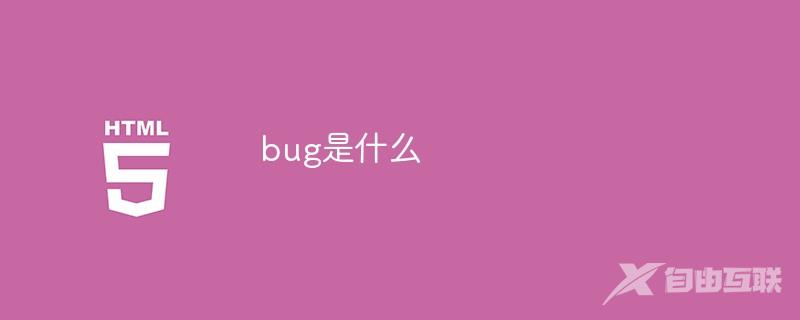 bug是什么