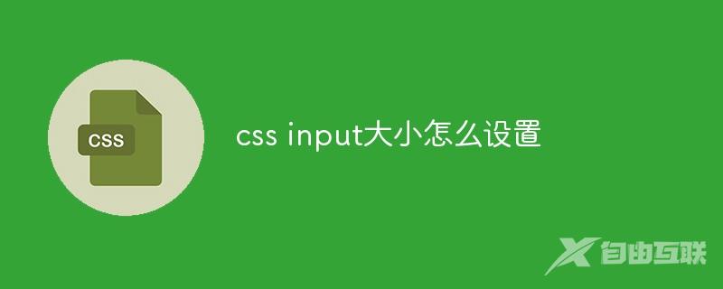 css input大小怎么设置