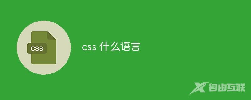 css 什么语言