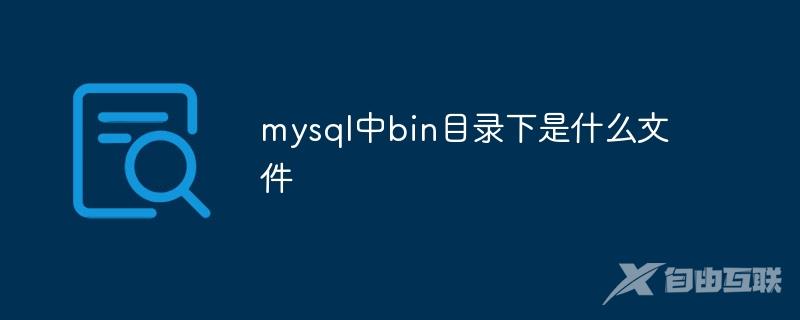 mysql中bin目录下是什么文件