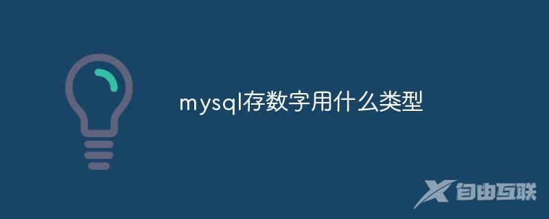 mysql存数字用什么类型