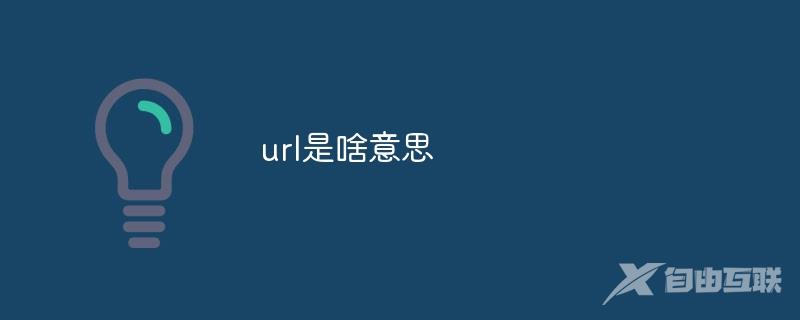 url是啥意思