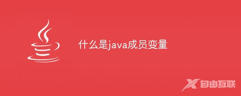 什么是java成员变量